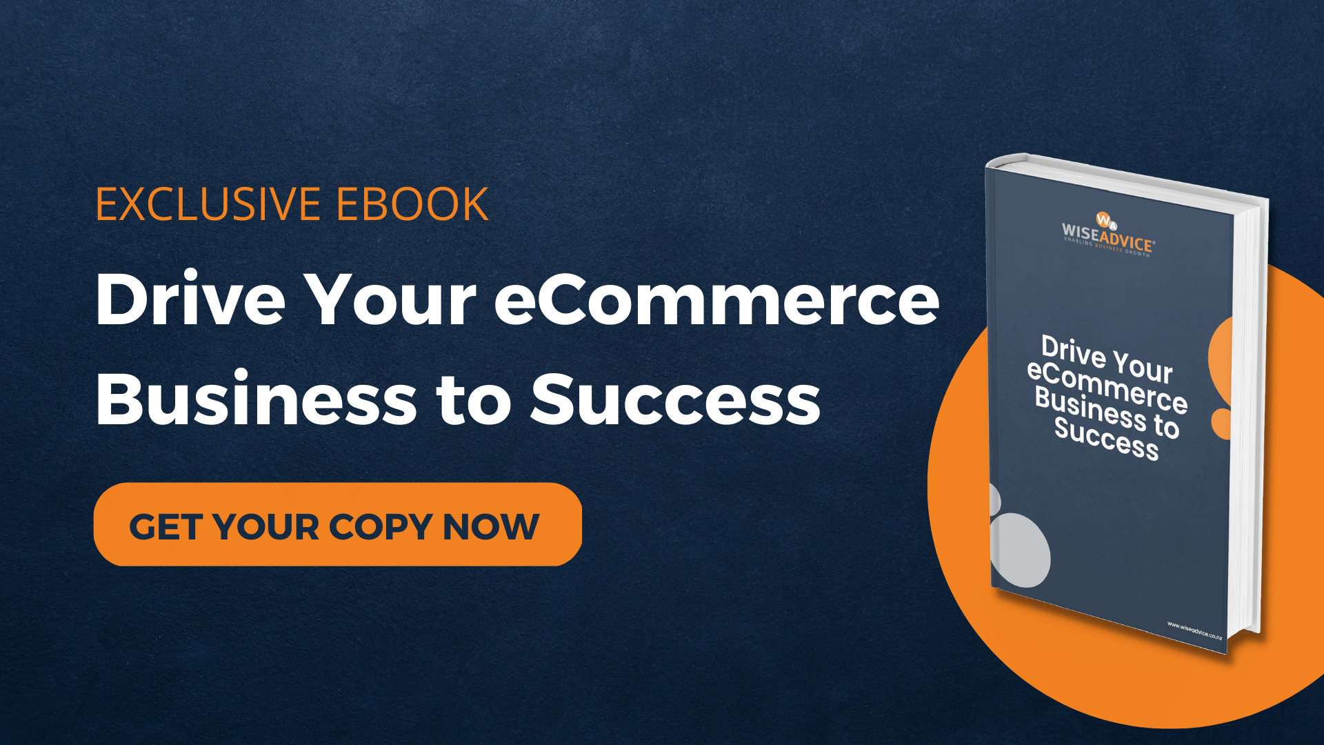 Wise Advice_Drive your ecommerce business to success 